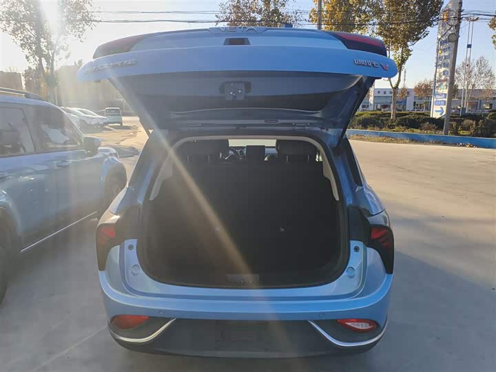 Hozon V 2022 2022款 潮 300 行业版