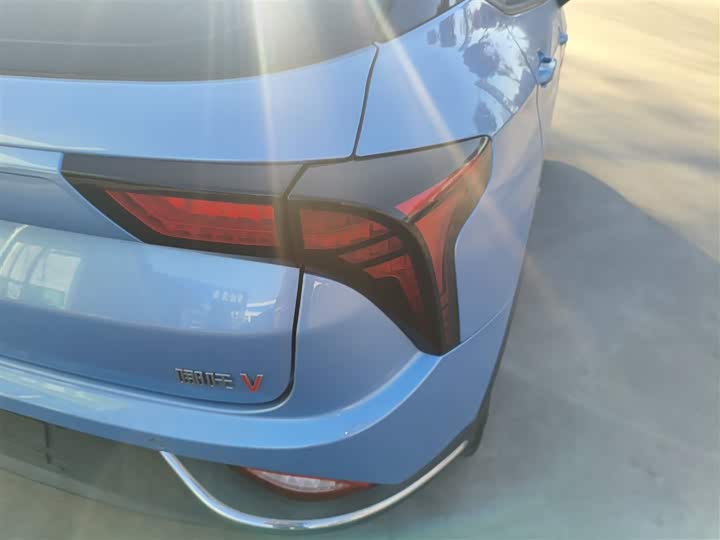 Hozon V 2022 2022款 潮 300 行业版