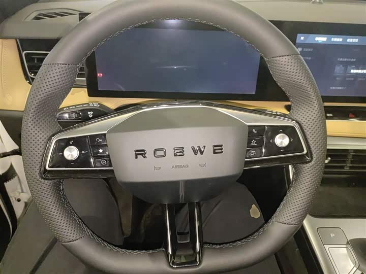 Roewe RX5 Hybrid 2023 2023款 eRX5 超混优越版