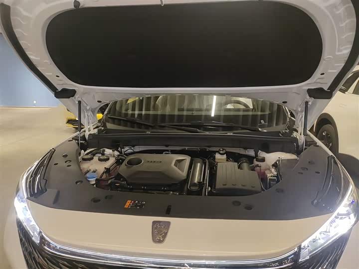 Roewe RX5 Hybrid 2023 2023款 eRX5 超混优越版