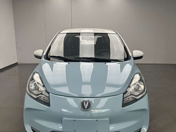 Changan BenBen E-Star 2021 2021款 国民版 心悦版（快充版）磷酸铁锂（31.95kWh）