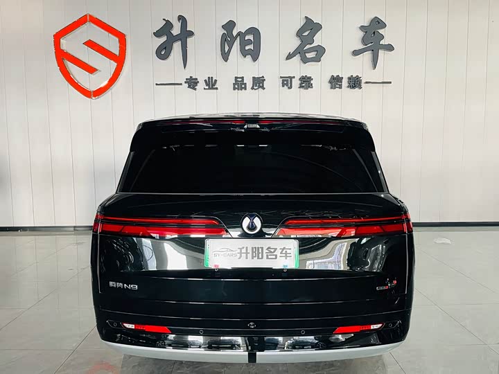 Denza N9 2025 2025款 旗舰型