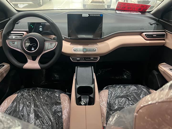 BYD Seagull 2025 2025款 305km 活力版