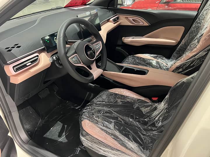 BYD Seagull 2025 2025款 305km 活力版