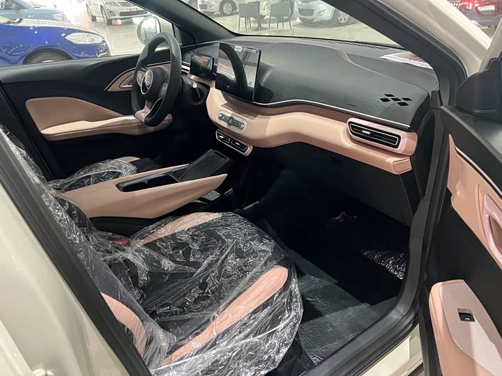 BYD Seagull 2025 2025款 305km 活力版