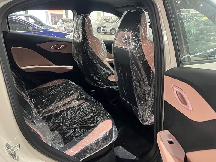 BYD Seagull 2025 2025款 305km 活力版