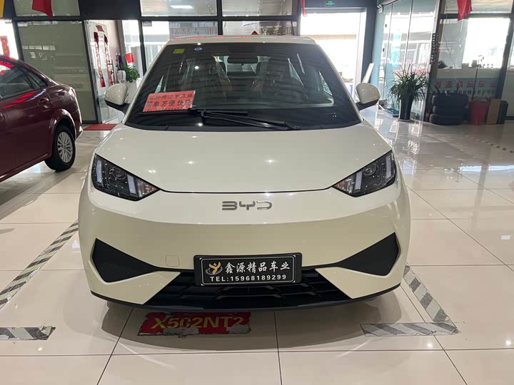 BYD Seagull 2025 2025款 305km 活力版