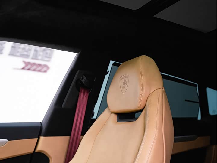 Lamborghini Urus 2021 2021款 4.0T V8