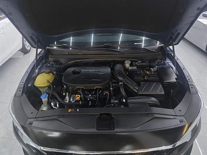 Hyundai Lafesta 2021 2021款 280TGDi GLX精英版