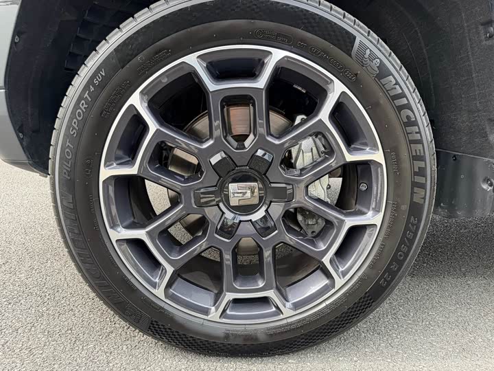 Tank 700 Hybrid 2024 2024款 Hi4-T 极境版