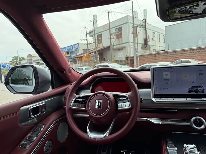 Tank 700 Hybrid 2024 2024款 Hi4-T 极境版