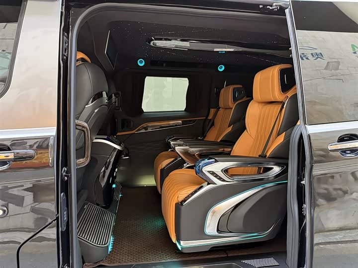 Ford Tourneo 2024 2024款 2.0T 自动致尊Plus版