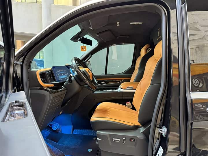 Ford Tourneo 2024 2024款 2.0T 自动致尊Plus版