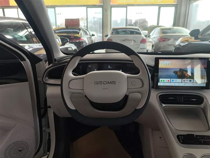 Geely Galaxy Geome 2026 2026款 310km 青春版