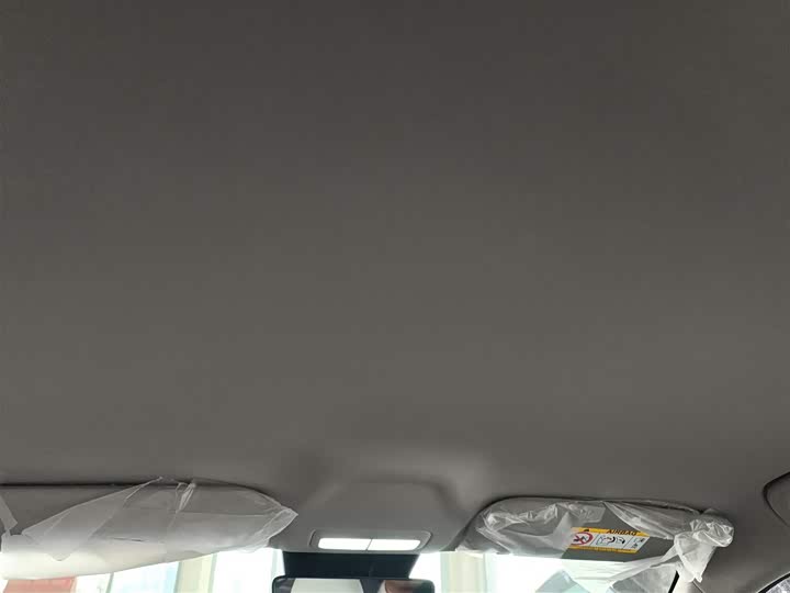 Geely Galaxy Geome 2026 2026款 310km 青春版