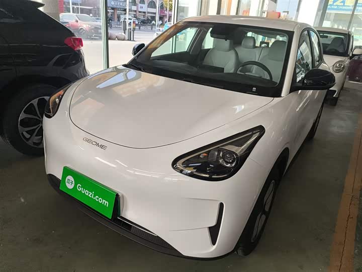 Geely Galaxy Geome 2026 2026款 310km 青春版