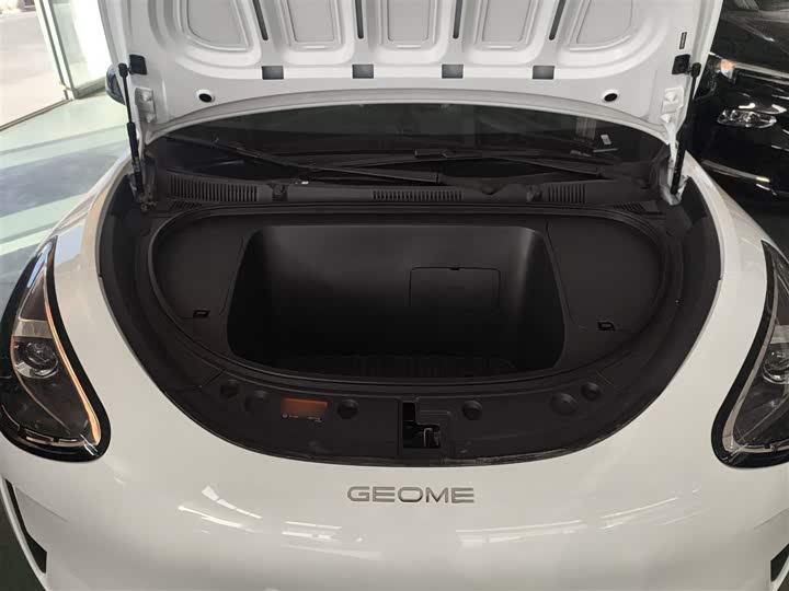 Geely Galaxy Geome 2026 2026款 310km 青春版