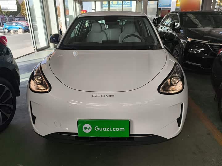 Geely Galaxy Geome 2026 2026款 310km 青春版