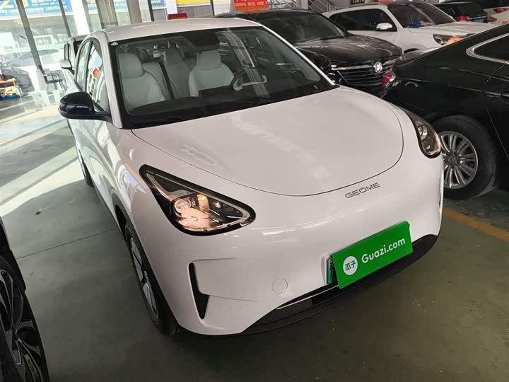 Geely Galaxy Geome 2026 2026款 310km 青春版