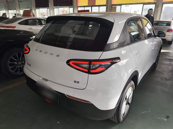 Geely Galaxy Geome 2026 2026款 310km 青春版