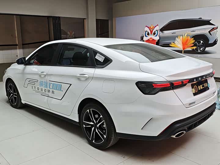 2024 Geely Binrui