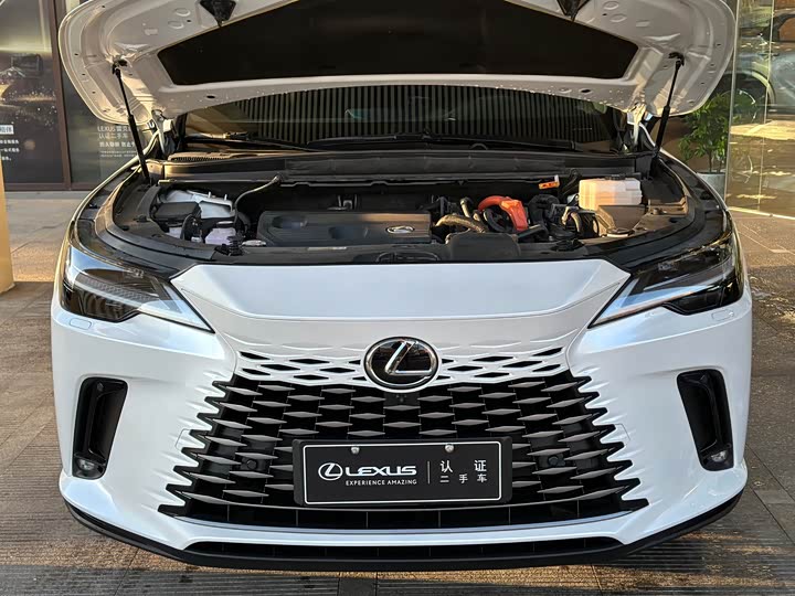 Lexus RX 2023 2023款 350h 四驱醇享版