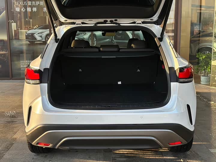 Lexus RX 2023 2023款 350h 四驱醇享版
