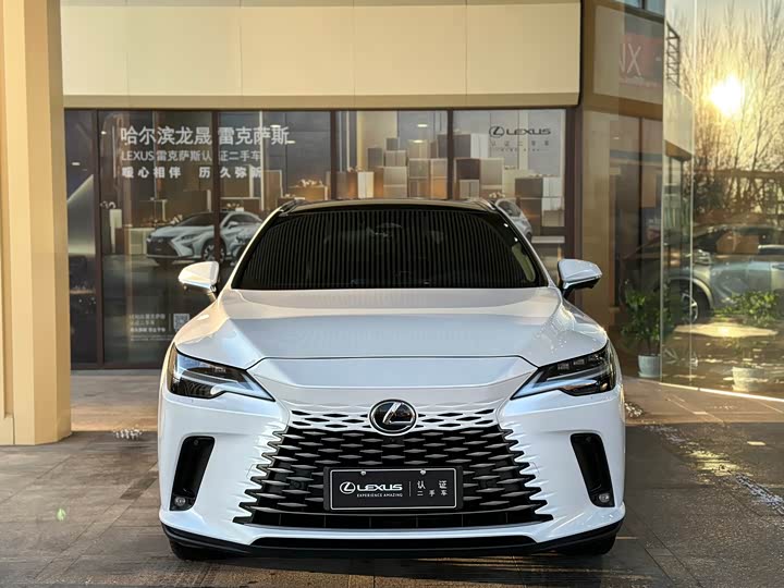 Lexus RX 2023 2023款 350h 四驱醇享版
