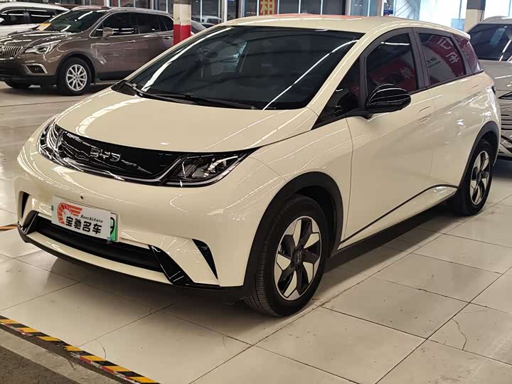 BYD Dolphin 2025 2025款 420km 活力版