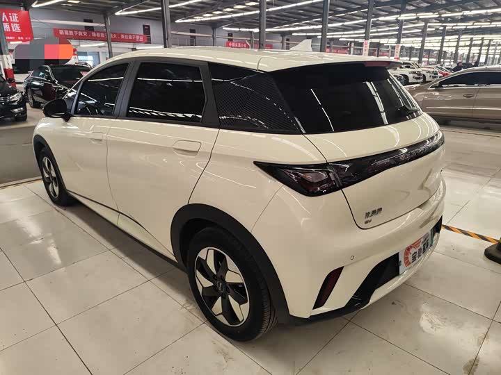 BYD Dolphin 2025 2025款 420km 活力版