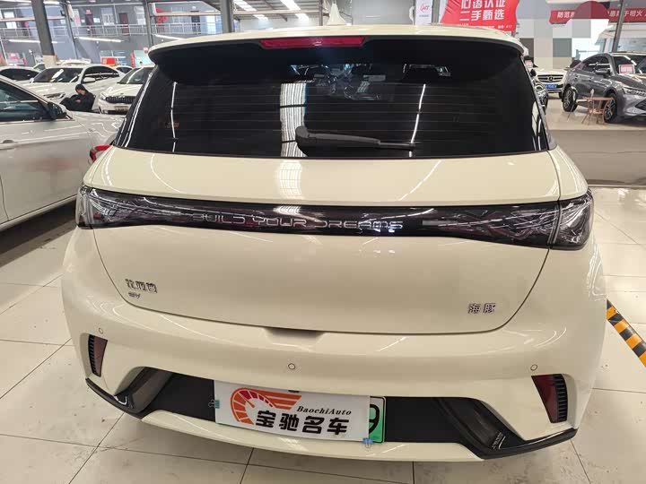 BYD Dolphin 2025 2025款 420km 活力版