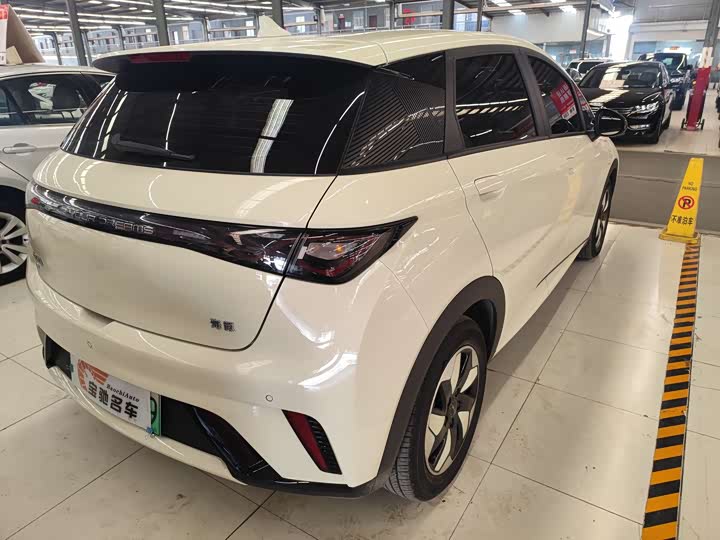 BYD Dolphin 2025 2025款 420km 活力版