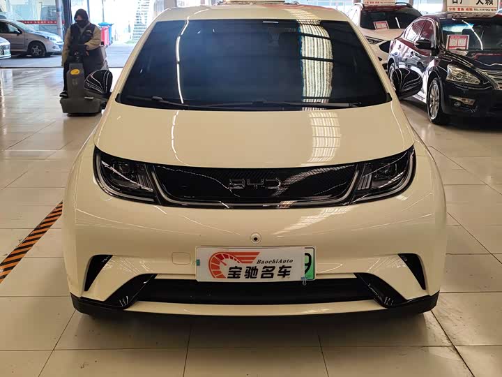 BYD Dolphin 2025 2025款 420km 活力版