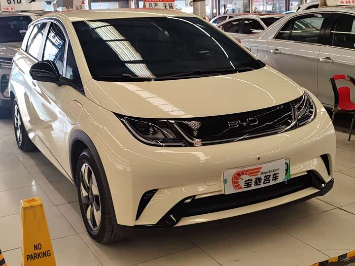 BYD Dolphin 2025 2025款 420km 活力版