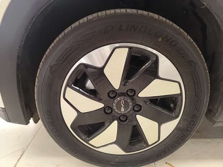 BYD Dolphin 2025 2025款 420km 活力版