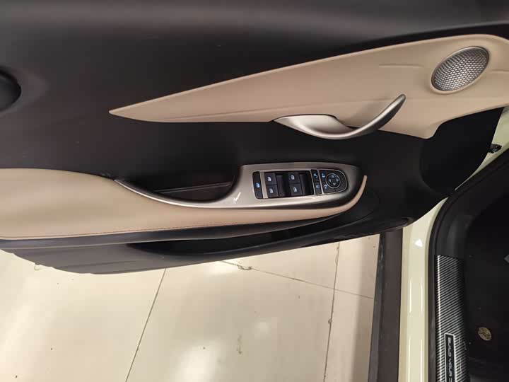 BYD Dolphin 2025 2025款 420km 活力版