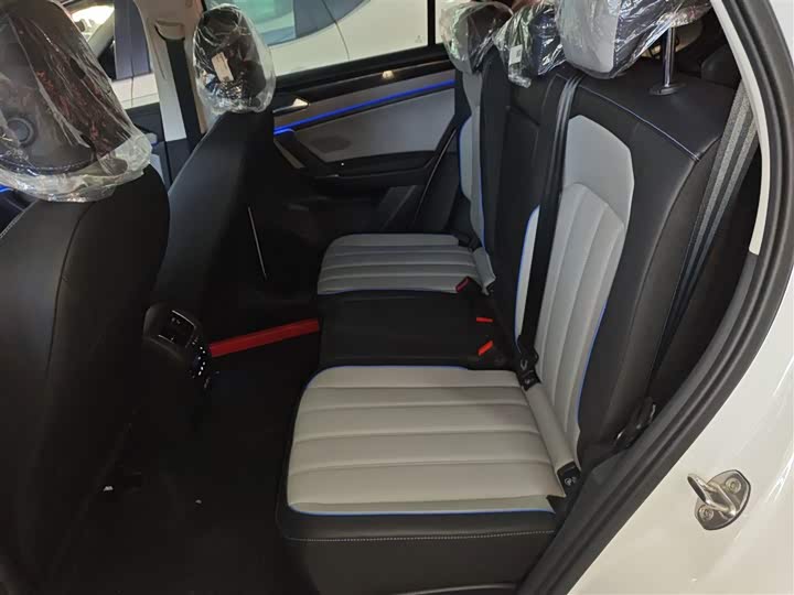 Volkswagen Tayron GTE Hybrid 2023 2023款 280TSI 豪华Plus进阶版