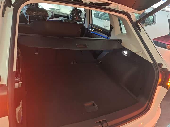 Volkswagen Tayron GTE Hybrid 2023 2023款 280TSI 豪华Plus进阶版