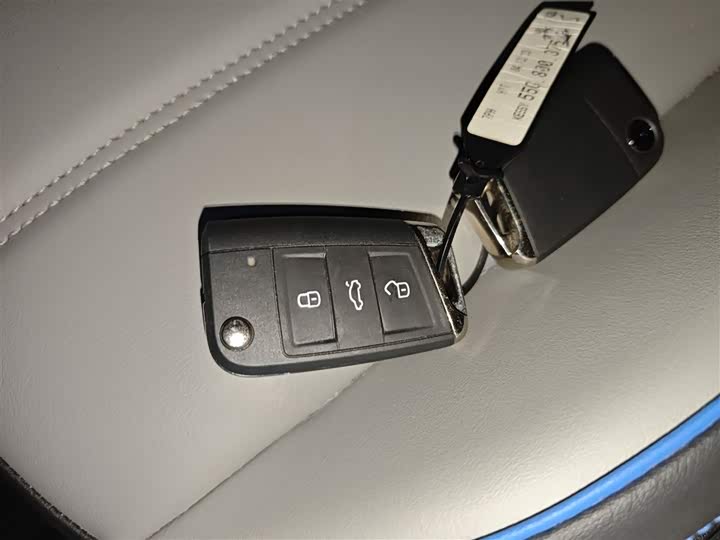 Volkswagen Tayron GTE Hybrid 2023 2023款 280TSI 豪华Plus进阶版