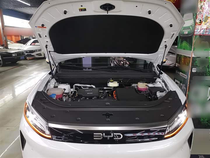 BYD Sea Lion 05 DM-i Hybrid 2025 2025款 DM-i 智驾版 115KM旗舰型