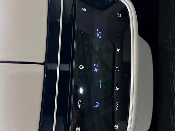 Stelato S9 2025 2025款 增程 Max+