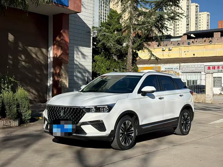 Bestune T77 2021 2021款 PRO 280 TID 定制版