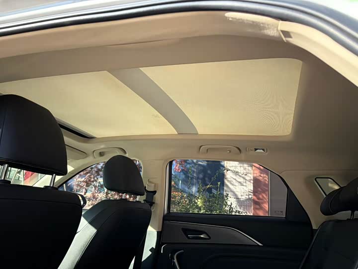 Bestune T77 2021 2021款 PRO 280 TID 定制版