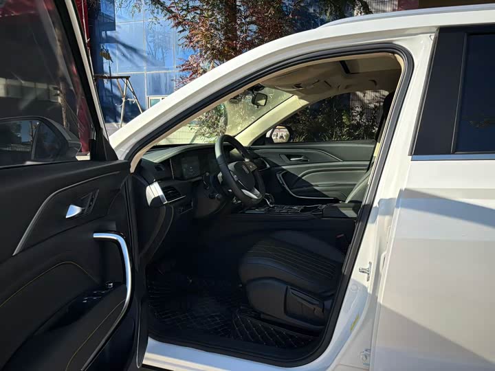 Bestune T77 2021 2021款 PRO 280 TID 定制版