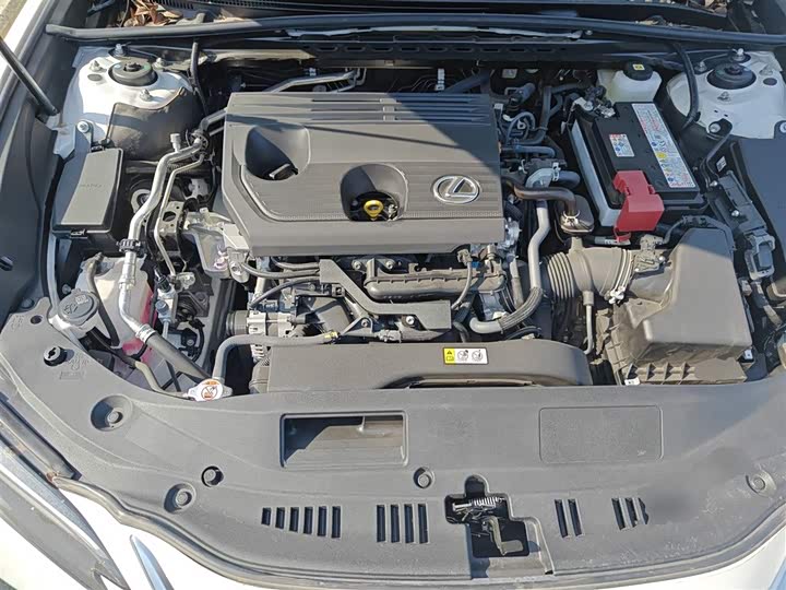 Lexus ES 2025 2025款 200 臻享版