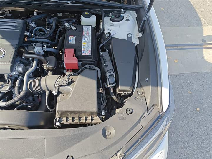 Lexus ES 2025 2025款 200 臻享版