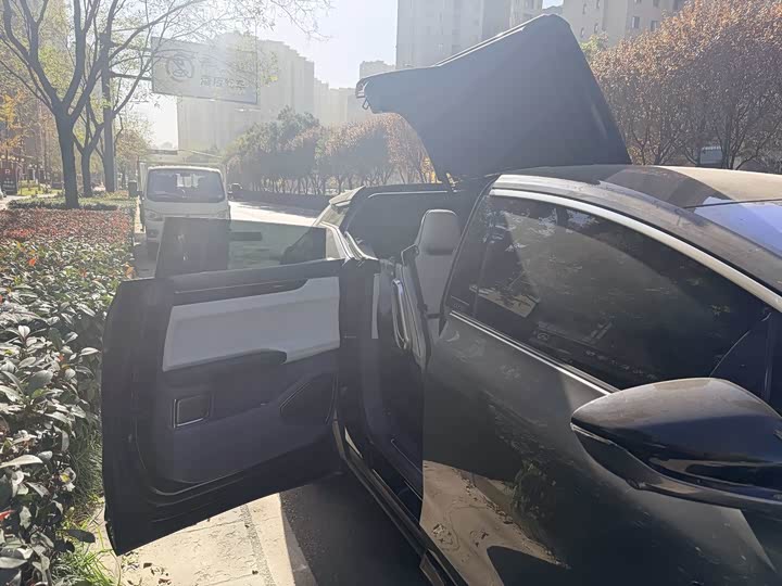 HiPhi X 2021 2021款 旗舰版6座