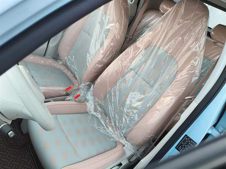 Leapmotor T03 2025 2025款 310舒享版