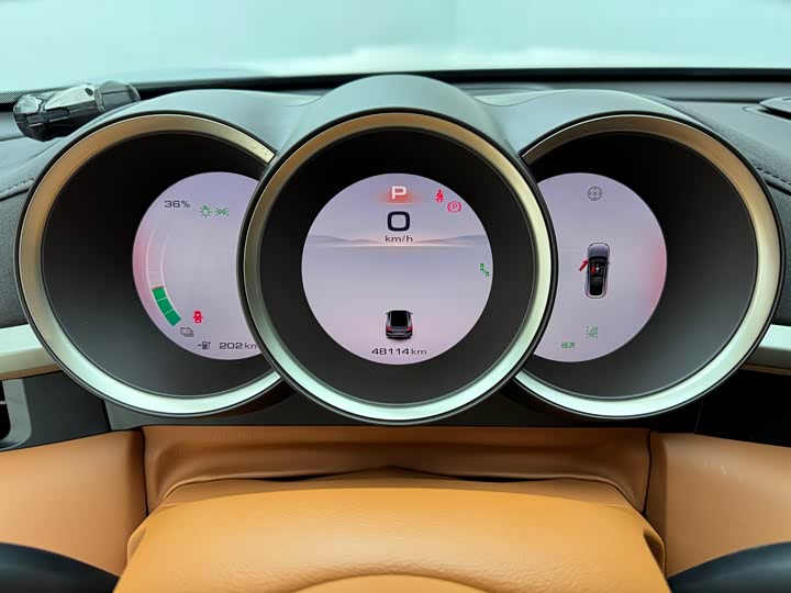 Ora Lightning Cat (07) 2022 2022款 555km 尊贵版