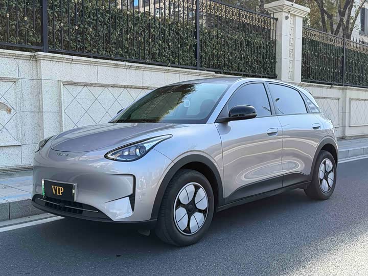 Geely Galaxy Geome 2025 2025款 310km 青春版